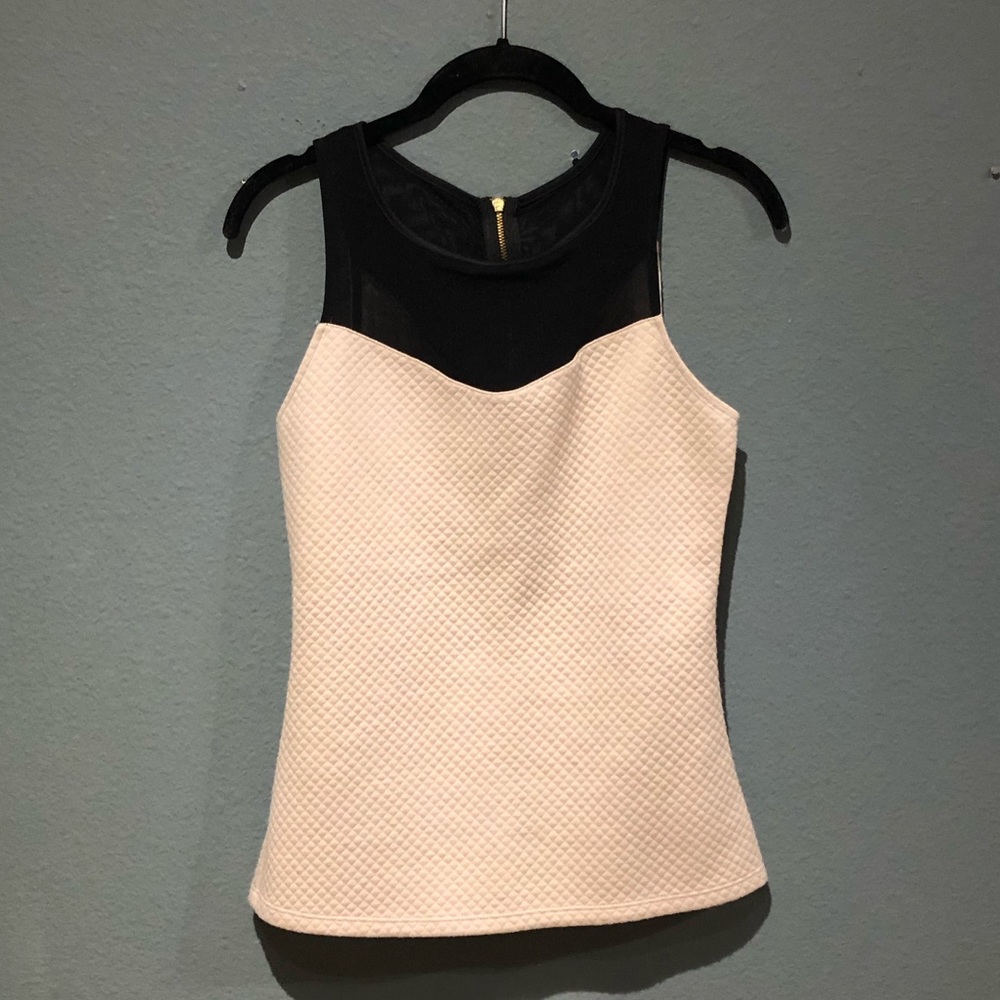 Express Fitted Quilted and Sheer Top